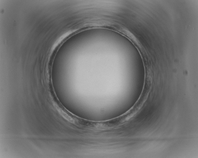 X0000071970787200607282057