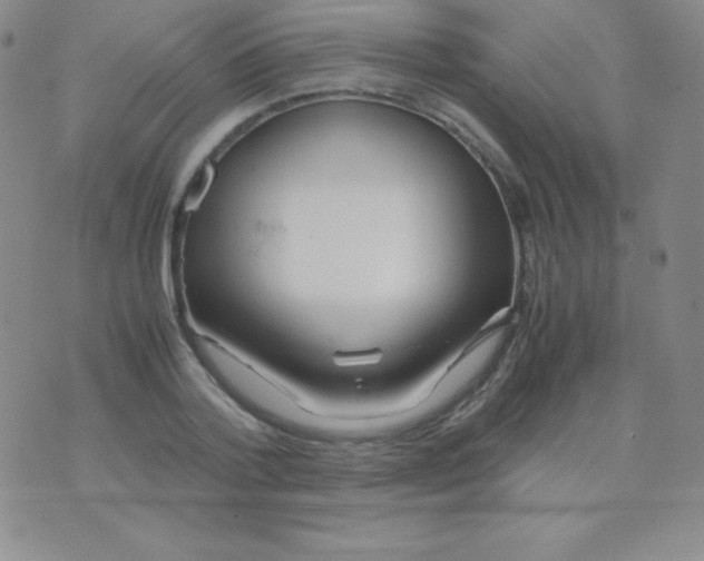 X0000071970788200607282057