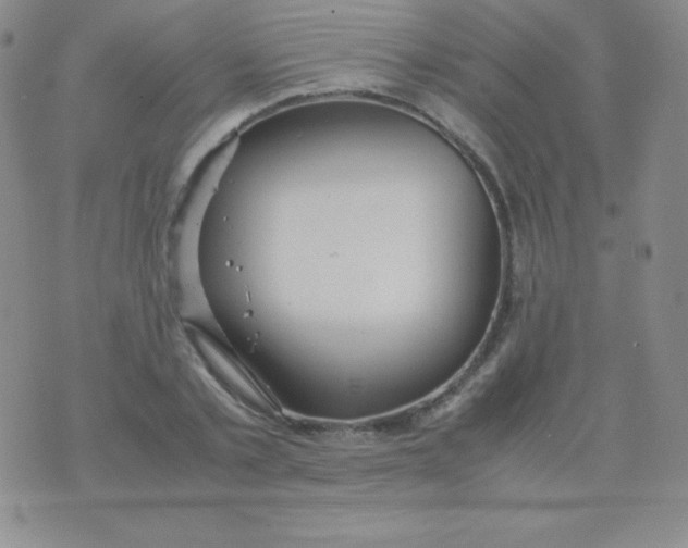 X0000071970789200607282057