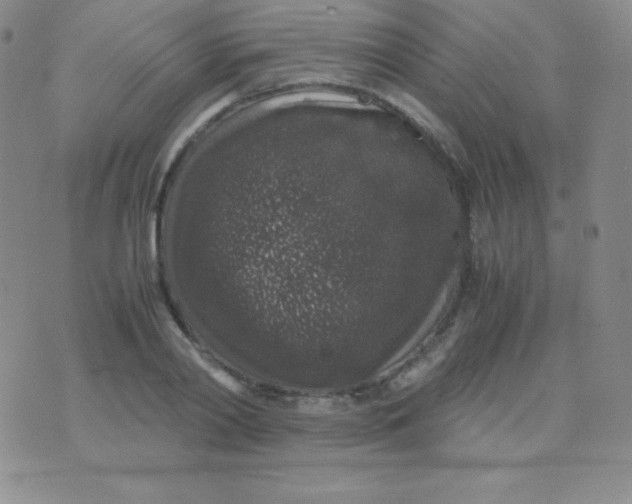 X0000071970790200607282057