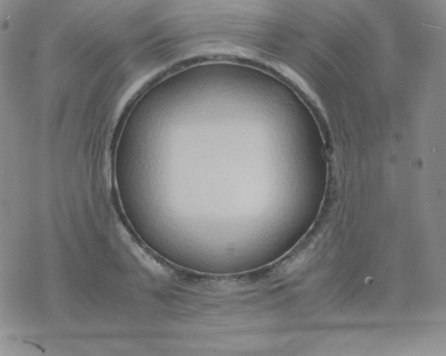 X0000071970791200607282057