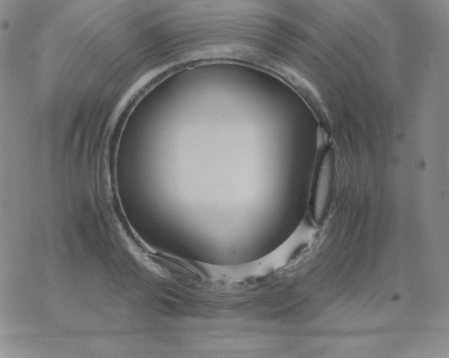 X0000071970792200607282057