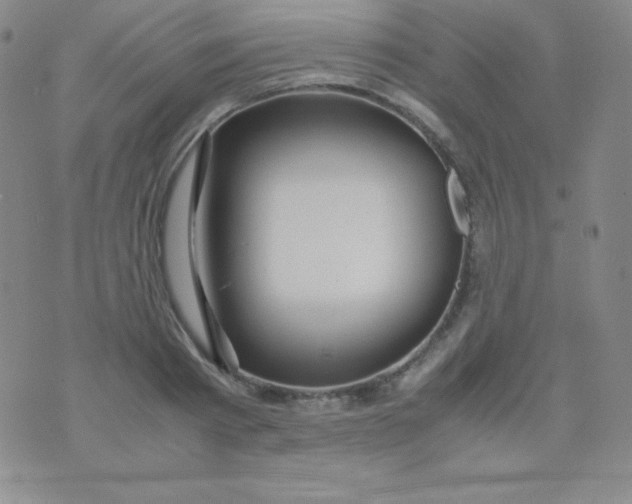 X0000071970793200607282057