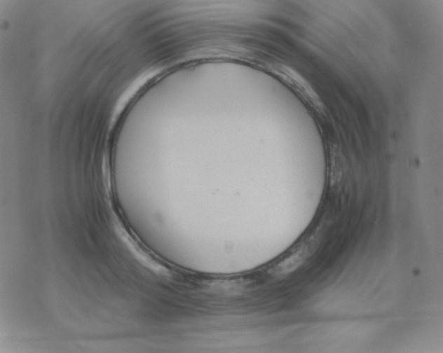 X0000071970796200607282057