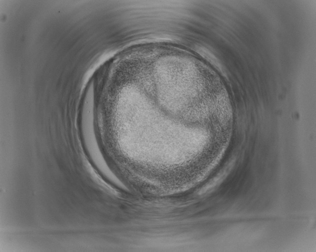 X0000071970797200607282057