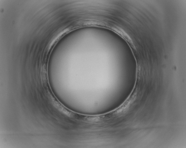 X0000071970798200607282057