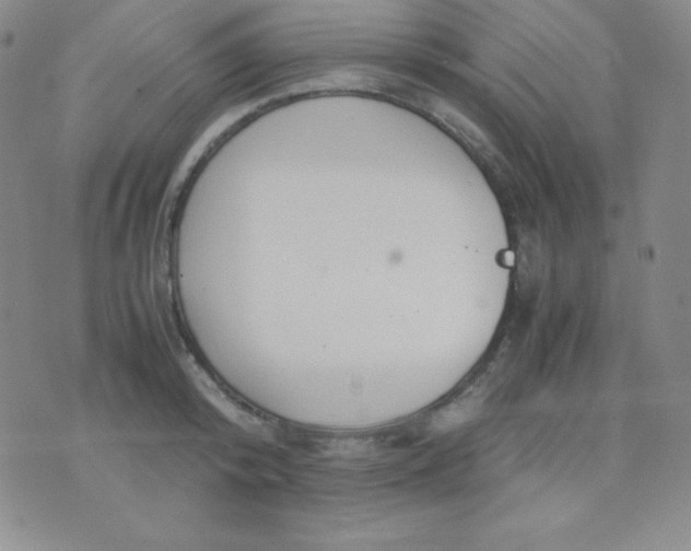 X0000071970800200607282057