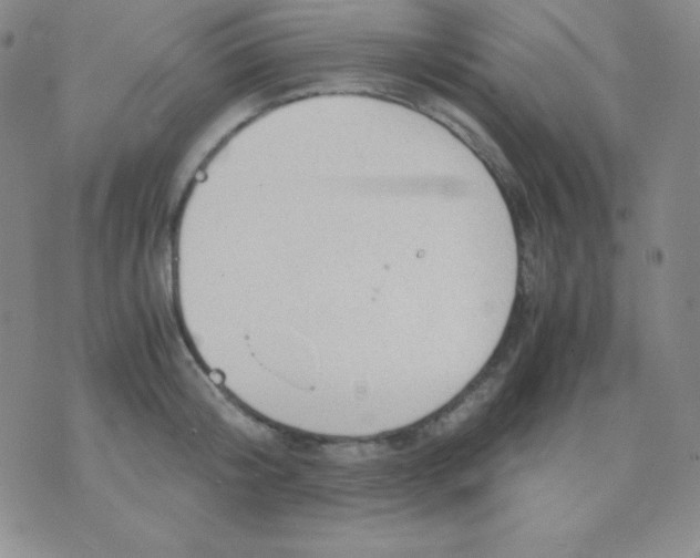 X0000071970804200607282056