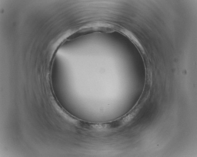 X0000071970805200607282056