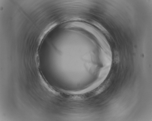 X0000071970806200607282056