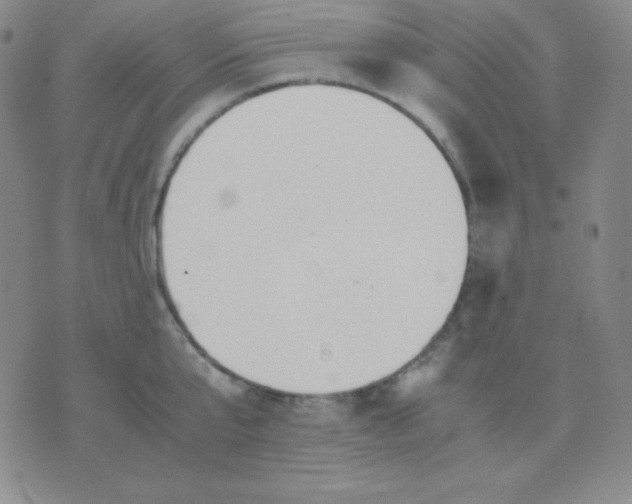 X0000071970807200607282056