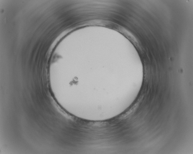 X0000071970808200607282056