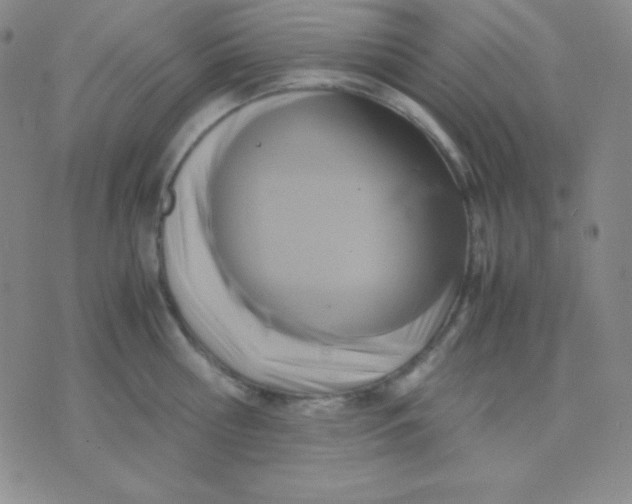 X0000071970810200607282056