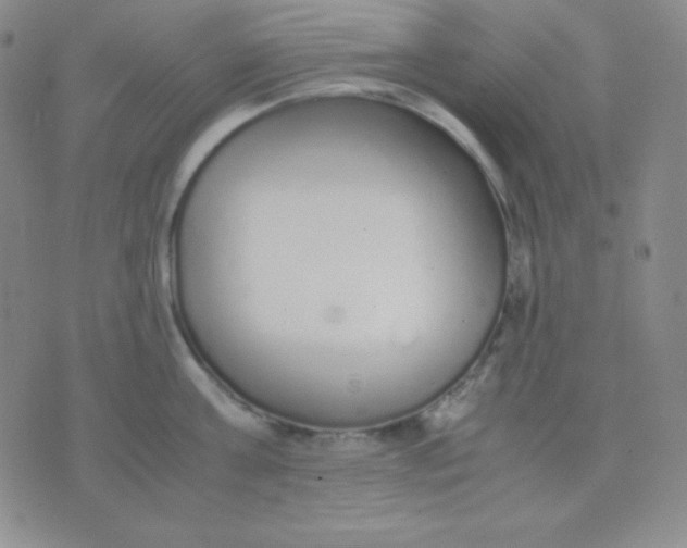 X0000071970811200607282056