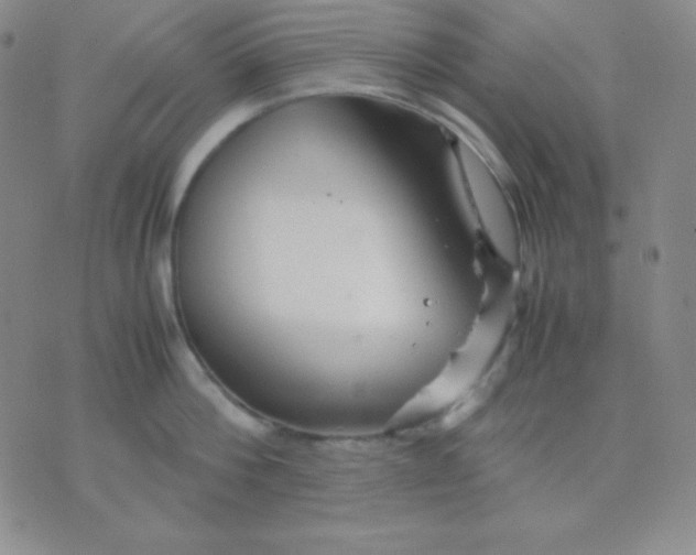 X0000071970812200607282056