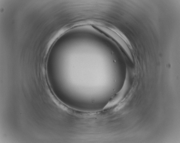 X0000071970813200607282056