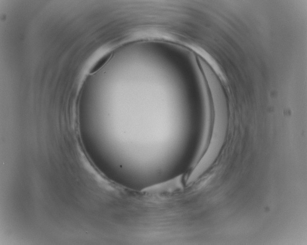 X0000071970815200607282056