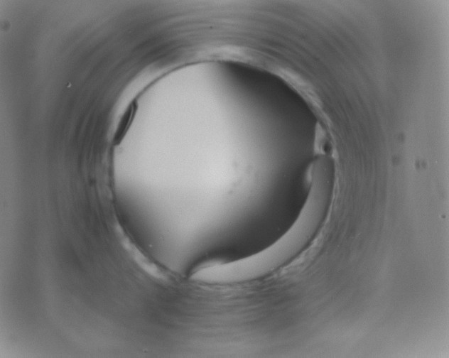 X0000071970816200607282056