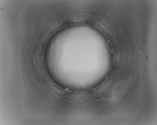 X0000071970817200607282055