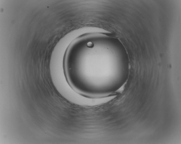 X0000071970818200607282055