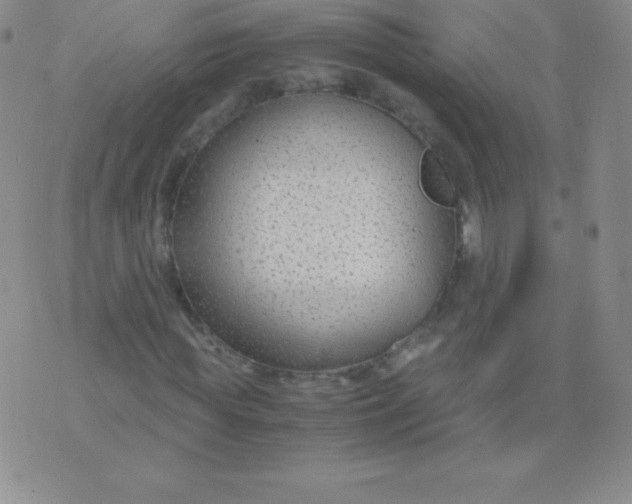 X0000071970819200607282056