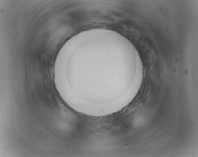 X0000071970820200607282056