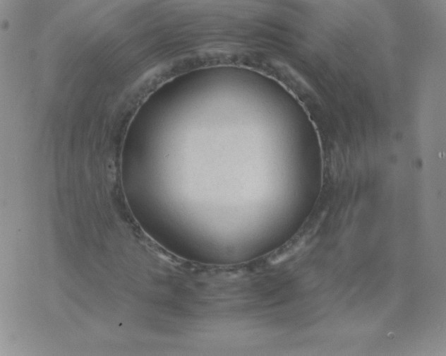 X0000071970821200607282056