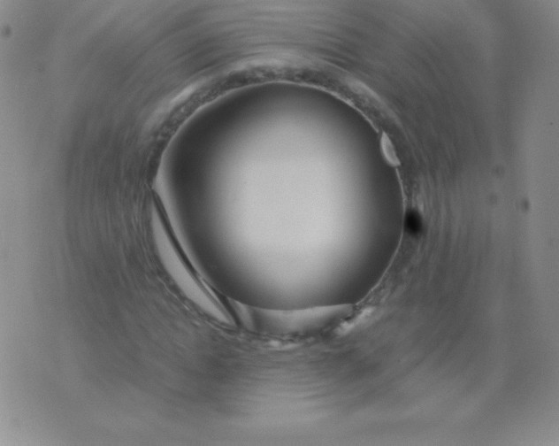 X0000071970822200607282056