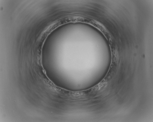 X0000071970823200607282056