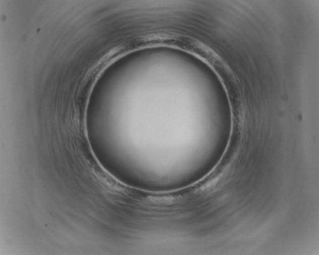 X0000071970825200607282056