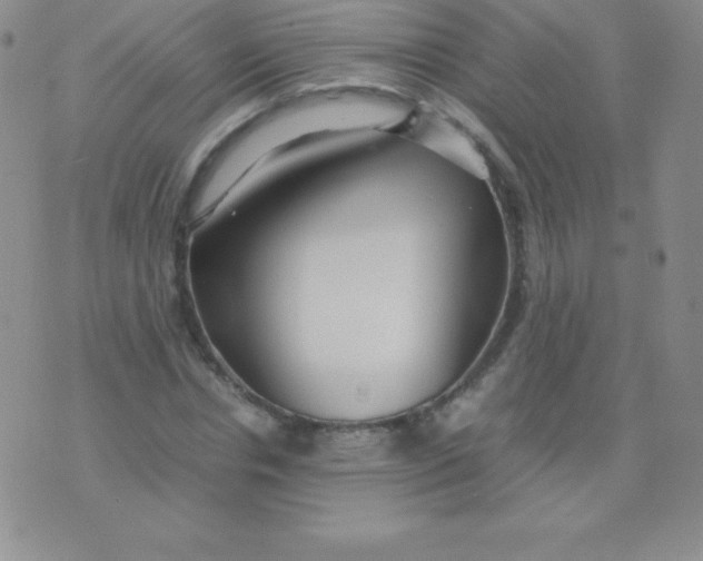 X0000071970826200607282056