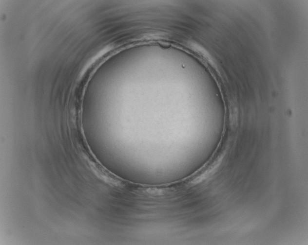 X0000071970827200607282056