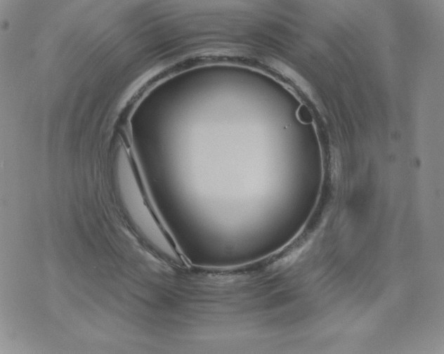 X0000071970829200607282056