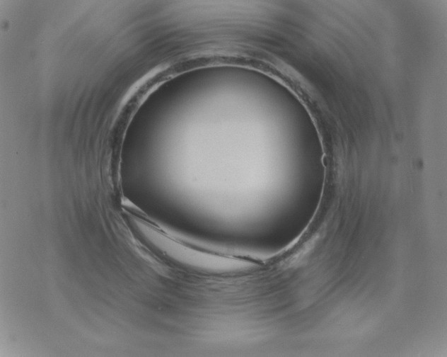 X0000071970830200607282056