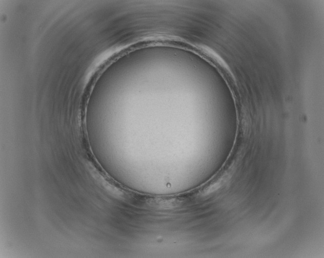 X0000071970831200607282056