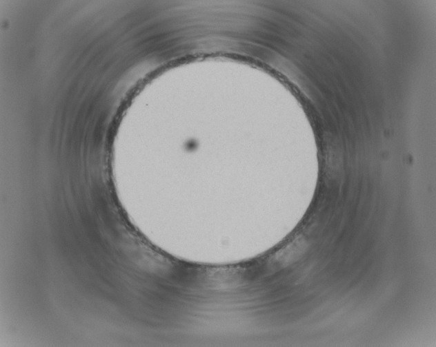 X0000071970832200607282056