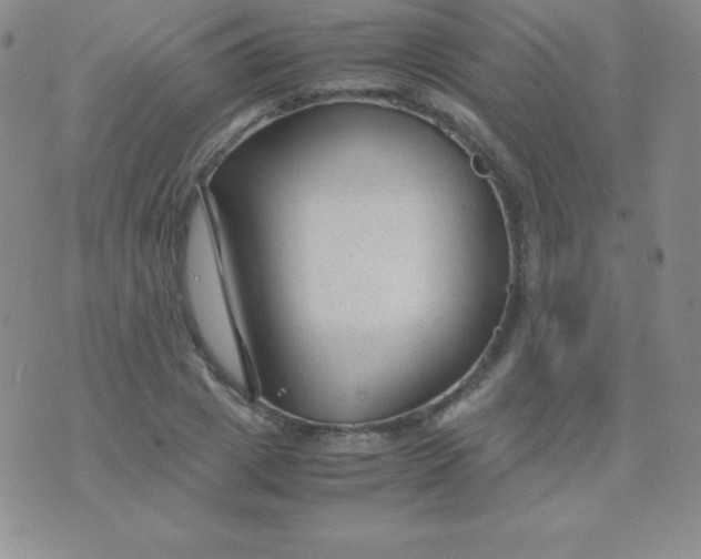 X0000071970833200607282056