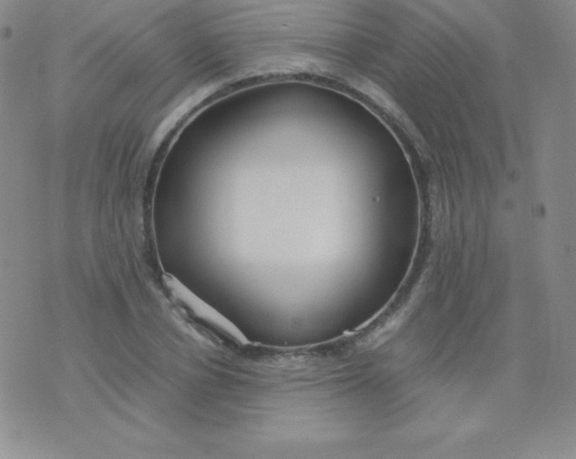 X0000071970834200607282056