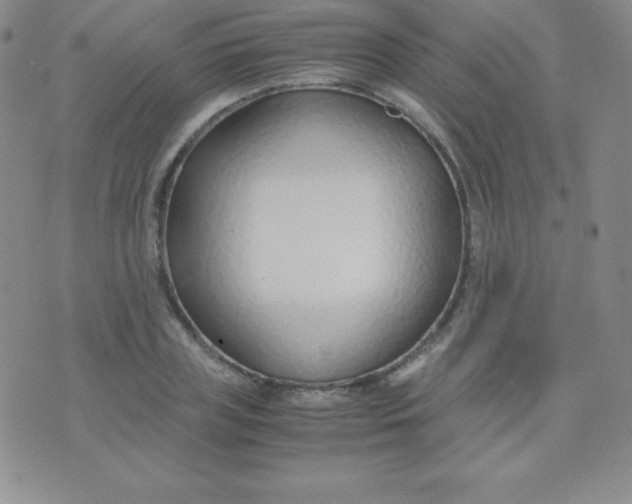 X0000071970835200607282056