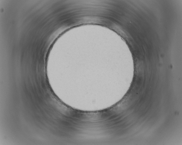 X0000071970836200607282056