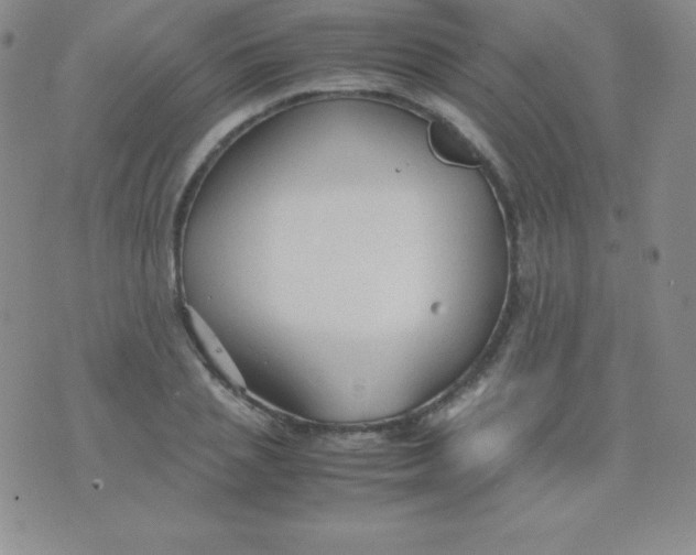 X0000071970837200607282056