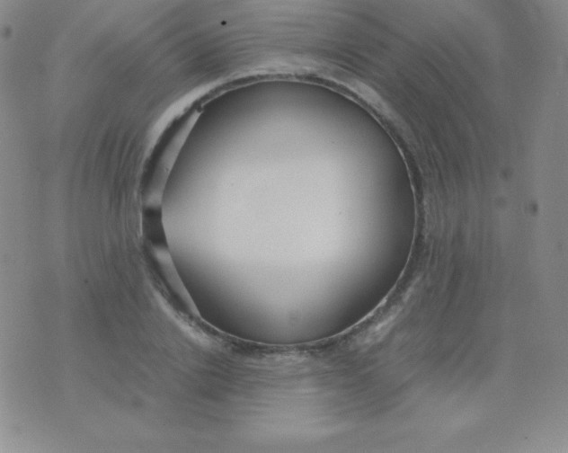 X0000071970838200607282056