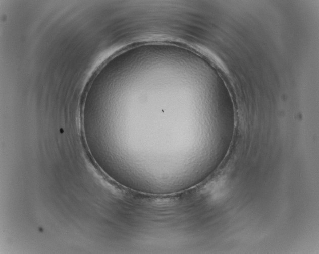 X0000071970839200607282056