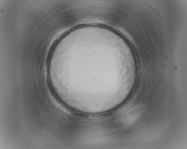 X0000071970840200607282056