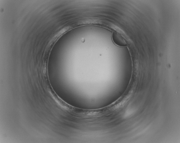 X0000071970841200607282056