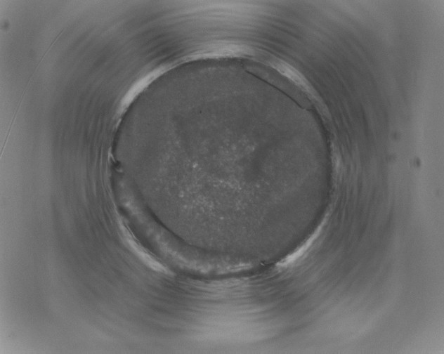 X0000071970842200607282056