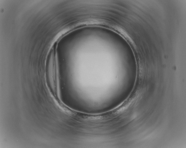 X0000071970845200607282056