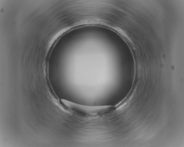 X0000071970846200607282056