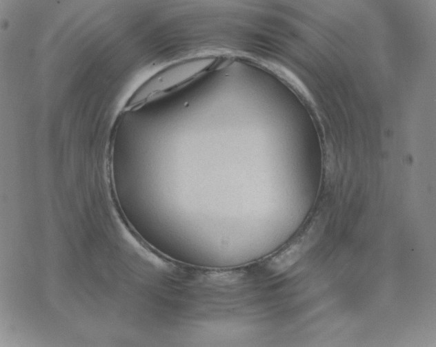 X0000071970847200607282056