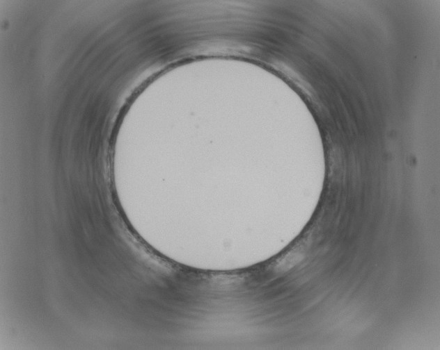 X0000071970848200607282056